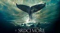 V srdci moře